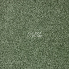 Ковролин AW Seduction 26 фото 1 | FLOORDEALER